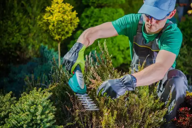 landscaping services Moreland Hills